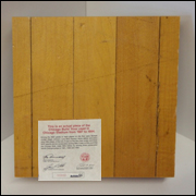 Chicago Bulls Stadium Blond Floor Piece